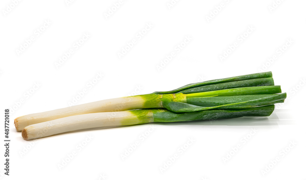 Side view organic fresh green Japanese bunching onion, isolated on white background. Side view organic fresh green Japanese bunching onion, isolated on white background.