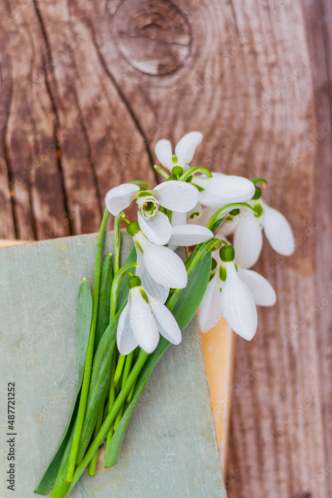 a bouquet of white spring snowdrops lies on the cover of an old book on a rustic wooden table, top view a bouquet of white spring snowdrops lies on the cover of an old book on a rustic wooden table, top view