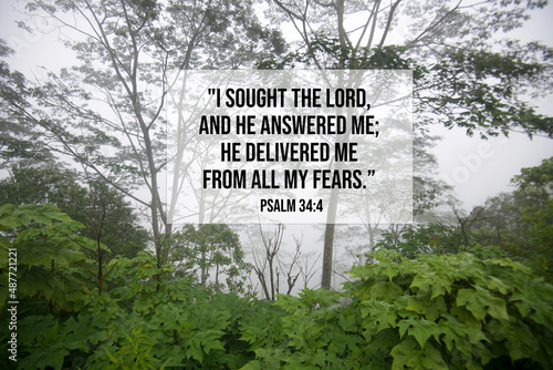 Bible verse inspirational quote - I sought the lord, and He answered me, He delivered me from all my fears. Psalm 34:4 With green forest background on a misty morning. photo