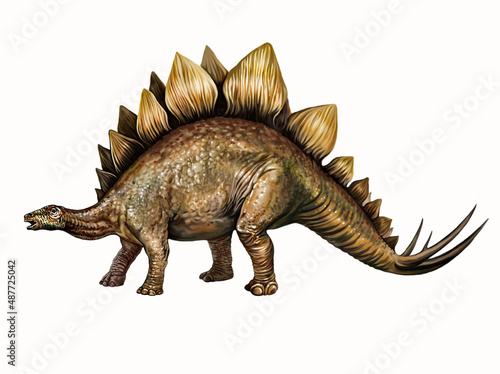 Stegosaurus, herbivore dinosaur © Liliya