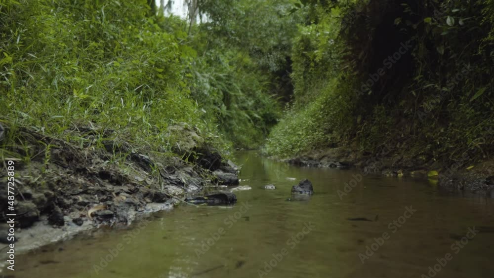Drone fly above Fairy Stream Mui Ne Vietnam jungle tropical rainforest in asia