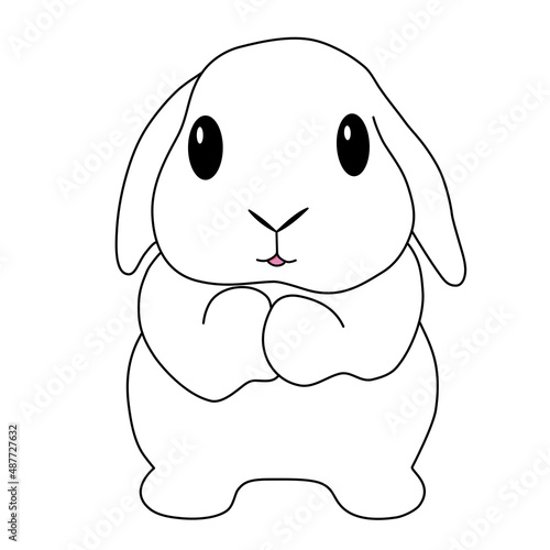 hand draw cute chubby holland lop bunny standing and begging outline vector