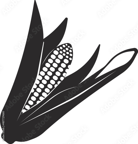 An ear of corn. Organic food, cereals. Vector image.