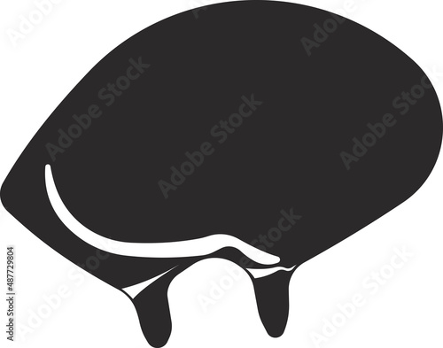 Milk udder of a cow. A pet with milk.