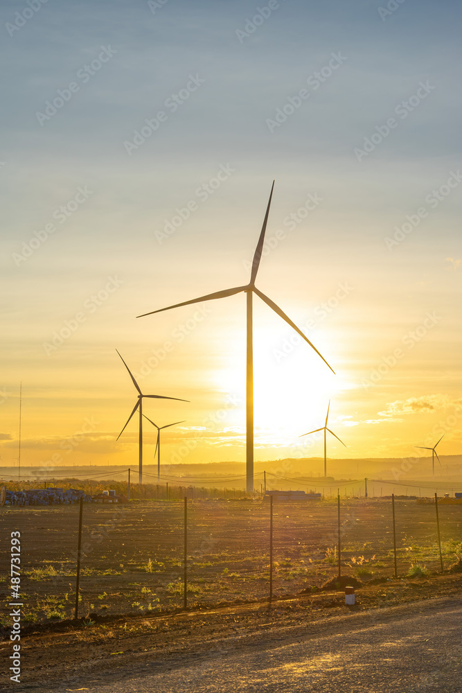 Obraz premium Wind turbine farm and agricultural fields on a summer day. Wind electricity generator in sunset sky, power plant, wind efficiency.