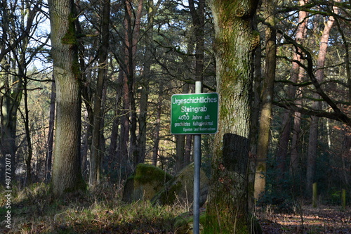 Historisches Stein Grab in der Krelinger Heide, Niedersachsen photo