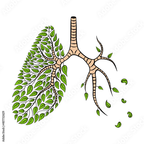 Lung disease concept. Hand drawn internal organ with green leaves on one half and with falling ones on another. Vector illustration.