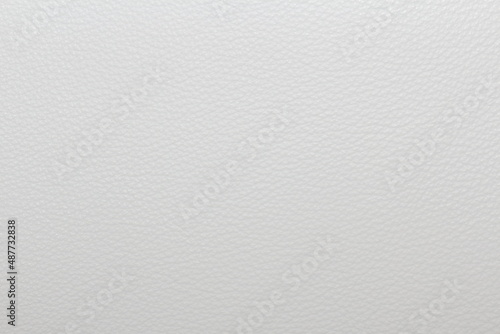 the texture of natural aniline calfskin of the highest quality