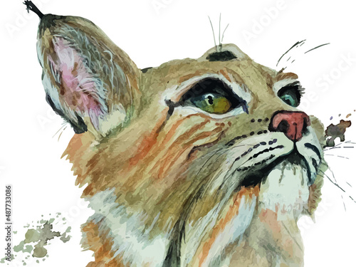 lynx portrait watercolor illustration