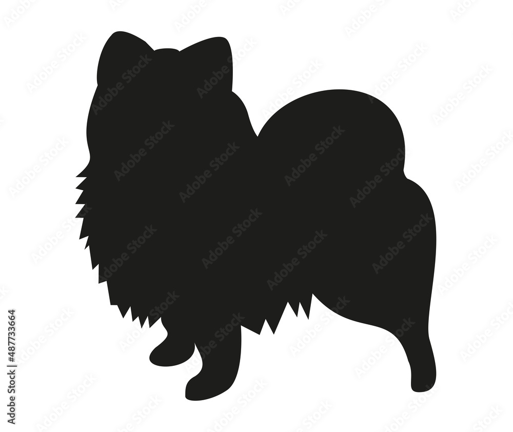 Pomeranian Pomeranian black silhouette outline of a standing dog Pomeranian Pomeranian black silhouette outline of a standing dog