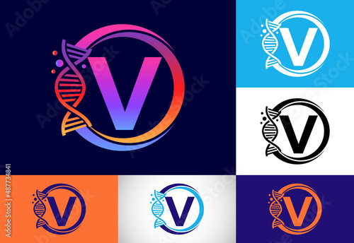 Initial V monogram alphabet in a circle with DNA. Genetics logo design concept. Logo for medicine, science, laboratory, business, and company identity