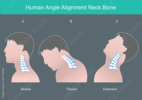 Foto Human angle alignment neck bone