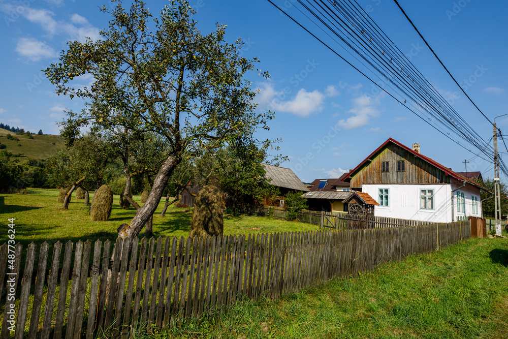 Old houses in a Village of Moldovita in the Bucovina in Romania