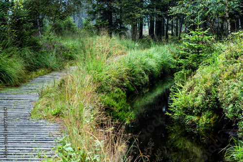 Bohlenweg am Abbegraben im Torfhausmoor im Harz photo