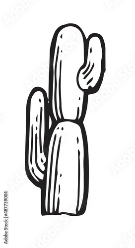 Large prickly cactus. An exotic southern plant from the desert. Outline sketch. Hand drawing is isolated on a white background. Vector