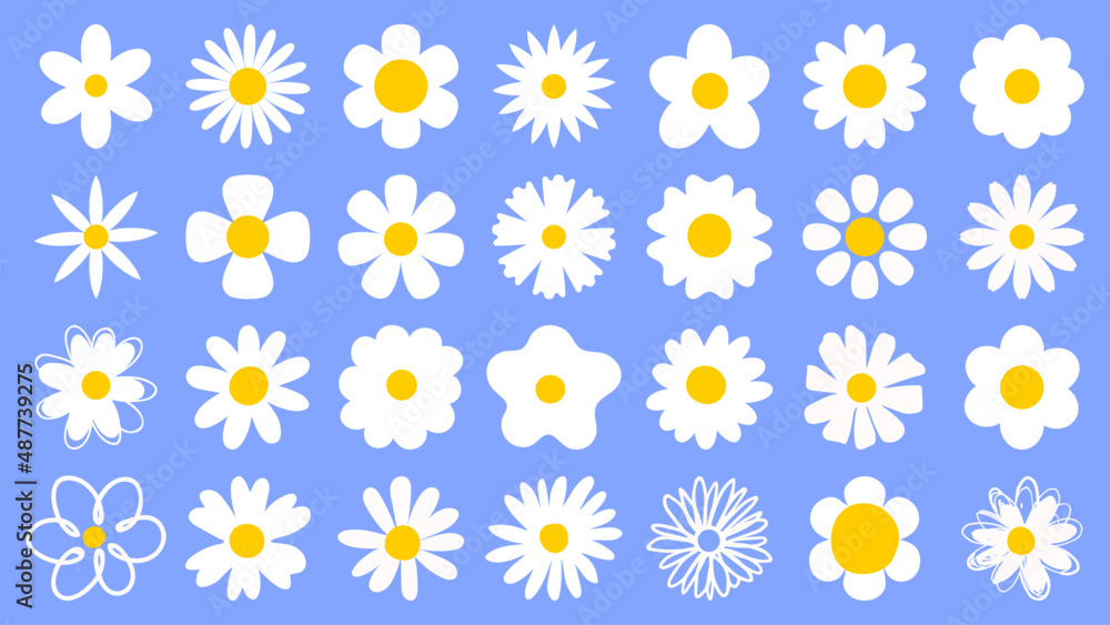 Cartoon daisy logo designs, chamomile flower icons. Flat spring floral elements. Blossom flowers with white petals. Doodle daisy vector set