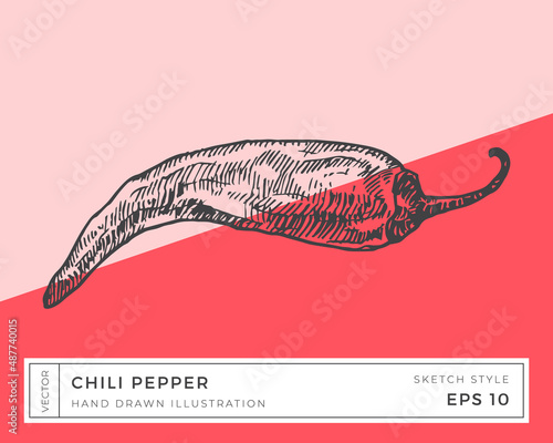 Hand Drawn Vector Hot Chili Pepper Vegetable Illustration. Vegan Based Food Drawing with Colorful Background Isolated