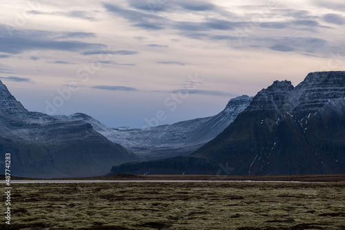 Moosbedeckte Landschaft mit   rkin und Kmbur am Reykjarfj  r  ur bei der Ortschaft Djupavik in den isl  ndischen Westfjorden