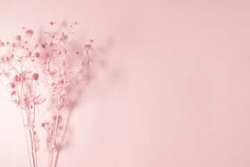 Dry pink flowers on pink background. Flat lay, top view, copy space