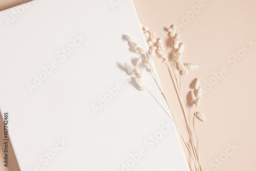 Fototapeta Naklejka Na Ścianę i Meble -  Dry flowers, dried branch on beige background. Flat lay, top view, copy space, mockup