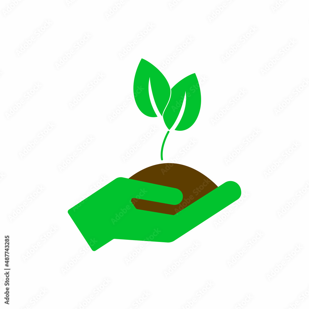 Hand holding young plant sprout care concept Hand holding young plant sprout care concept