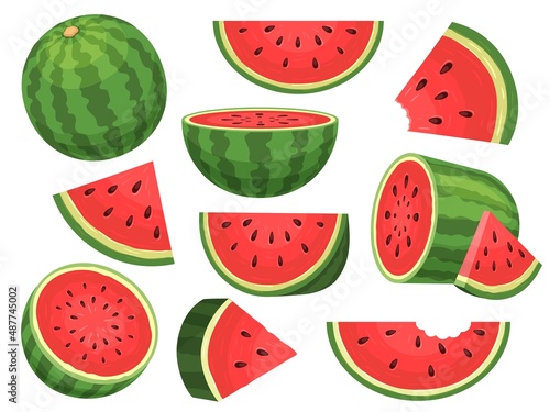 Cartoon fresh green open watermelon half, slices and triangles. Red watermelon piece with bite. Sliced cocktail water melon fruit vector set