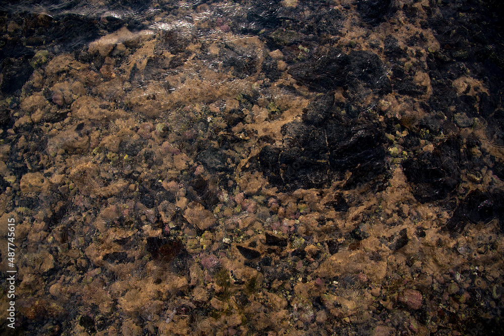texture of stone texture of stone