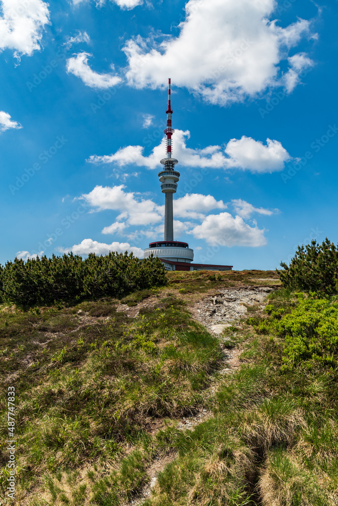 Obraz premium Praded hill summit with communication tower in Jeseniky mountains in Czech republic