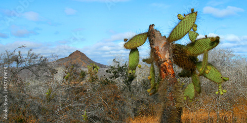 Galápagos Islands Landscape, Galápagos National Park, UNESCO World Heritage Site, Pacific Ocean, Ecuador, America