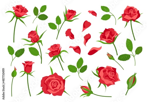 Cartoon rose flower elements  leaves  stem  petals and buds. Red blooming roses for bouquet decoration. Romantic floral symbol vector set