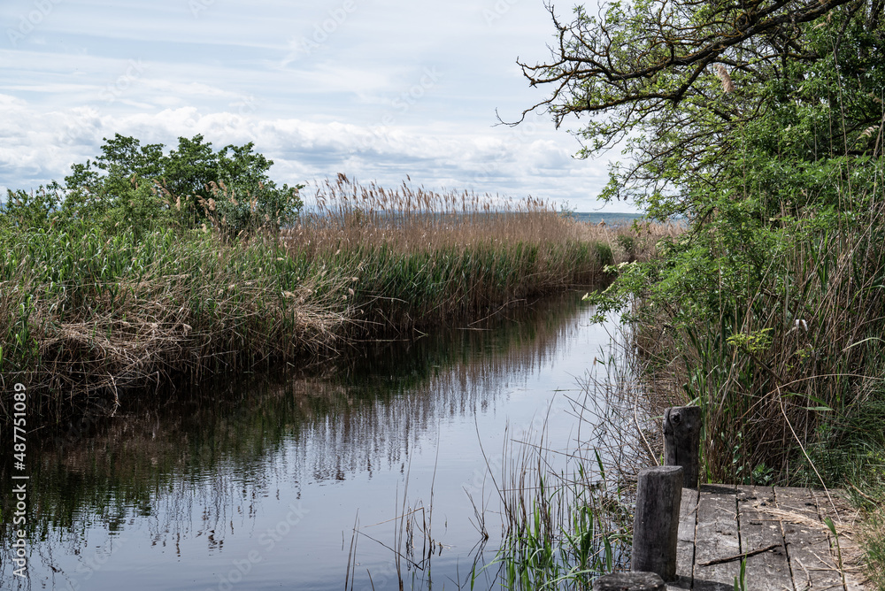 Holzterrasse an Wasserkanal im Schilfgürtel