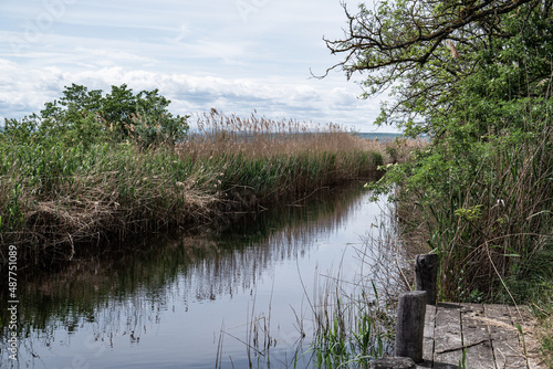 Holzterrasse an Wasserkanal im Schilfgürtel