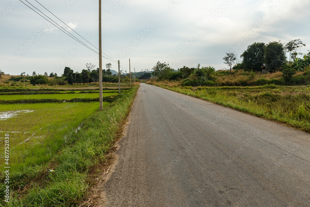 Asphalt road along rice fields in Laos, Vientiane Province