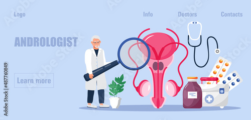 Andrologist, prostate cancer concept vector. Medical illustration of andrology for web, landing page, blog. Ovary, testis, adrenal gland are shown.