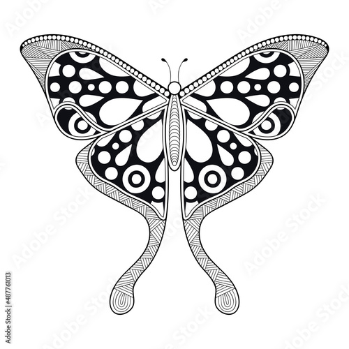 vector butterfly black and white element line art print design 