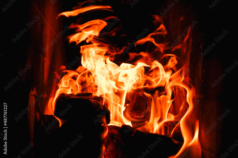 Obraz premium Burning firewood and coals in a stone stove. Brick oven on wood. Long tongues of flame of burning fire