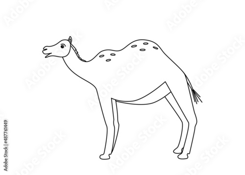 Cute funny camel  vector illustration of cartoon desert animal. Coloring book on isolated white background.