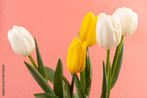 Fototapeta Naklejka Na Ścianę i Meble -  Bouquet of white and yellow tulips with space for greeting message. Mother's Day and spring background concept.