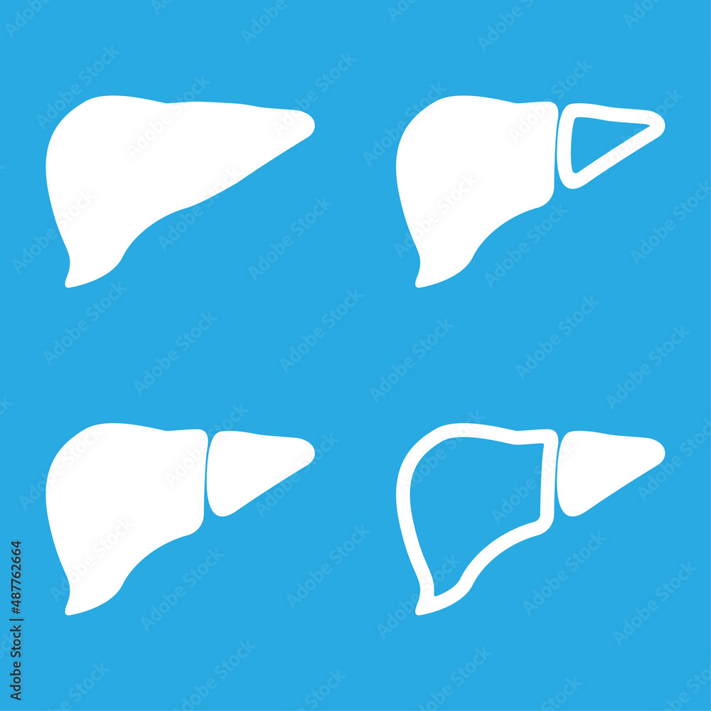 icons of body organs, liver on a white background, vector illustration