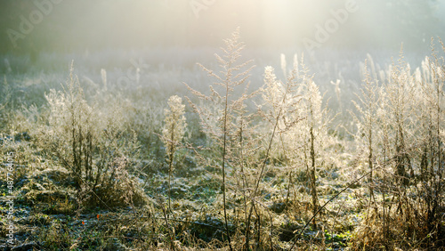 Wallpaper Mural Bathing in light - Ein Bad im Licht Torontodigital.ca