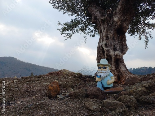  Garden Dwarf under tree
