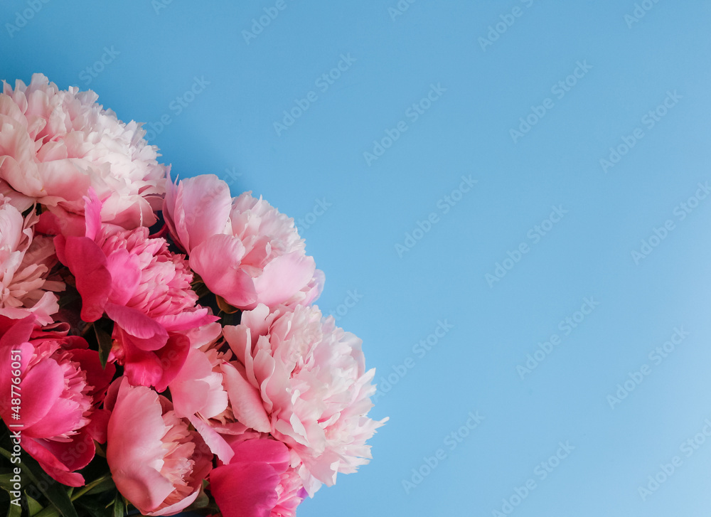 Bouquet of peonies on a blue background. Greeting card concept. Copy space Bouquet of peonies on a blue background. Greeting card concept. Copy space