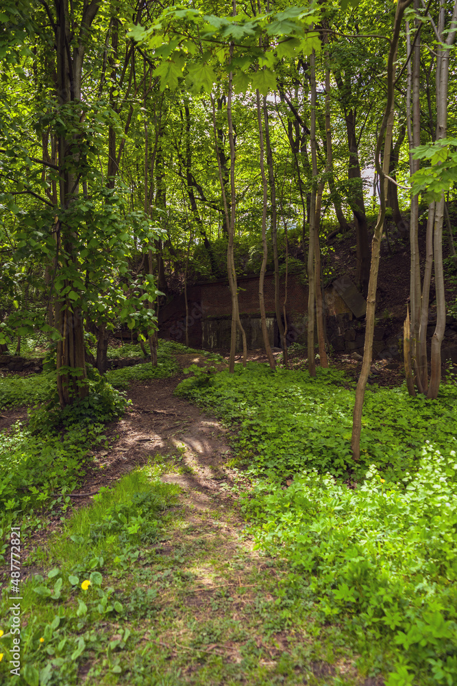 Obraz premium closed entrance to the fortification in the park of Kaliningrad