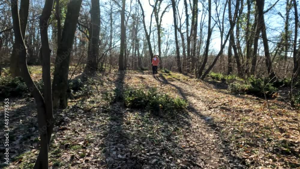 Athletic Sports Fitness Young Woman Jogging Through Forest. Running woman in nature. Slow Motion.
Athletic Sports Fitness Young Woman Jogging Through Forest. Running woman in nature. Slow Motion.