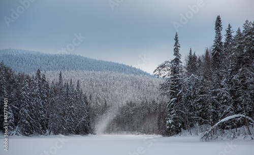 Winter landscape with river and pines. Paanajarvi National Park. Olanga river. photo