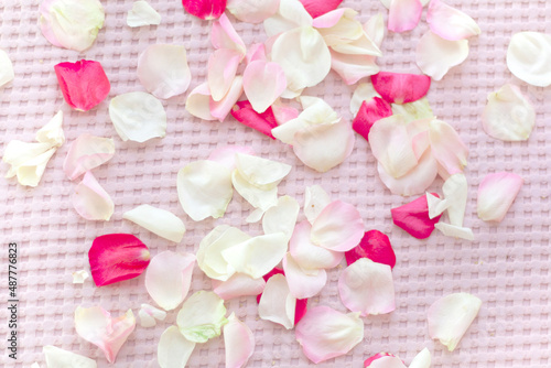 Pink hearts on a pink background. The textile background is pink.