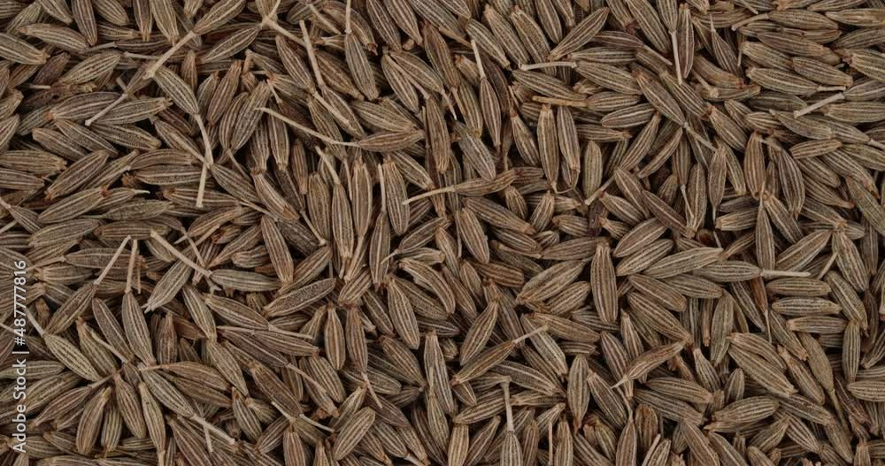 Top view of cumin seeds rotating. Closeup. Macro. Top view of cumin seeds rotating. Closeup. Macro.