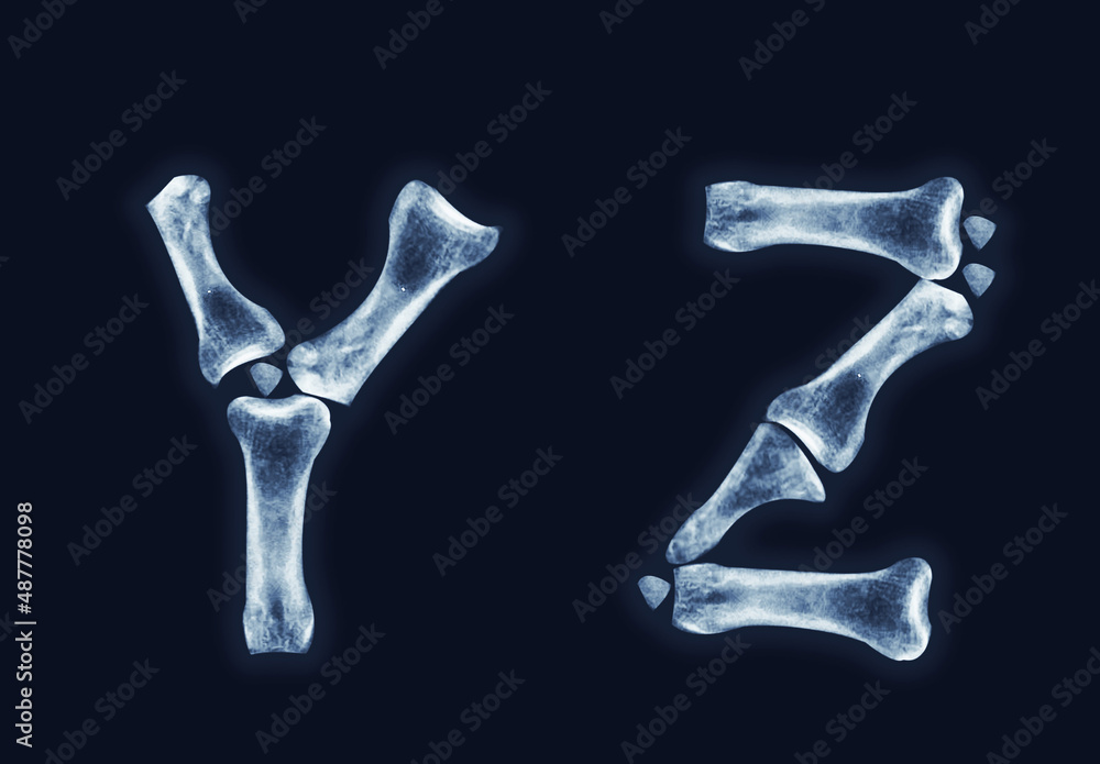 X-ray alphabet. Bone letters Y, Z. Realistic illustration. Black ...