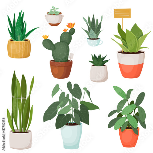 Set of various houseplants in pots. Home decor. Vector illustration