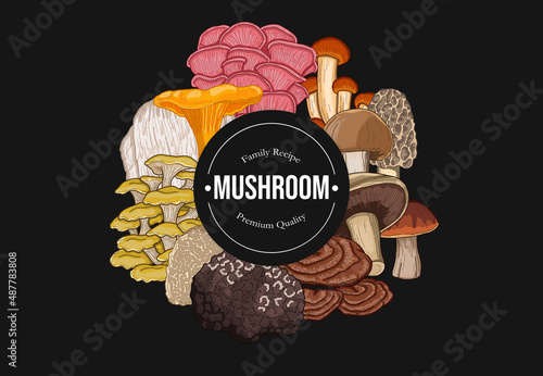 Mushrooms Horizontal Banner Collection Colorful Vector Illustration Set with badge